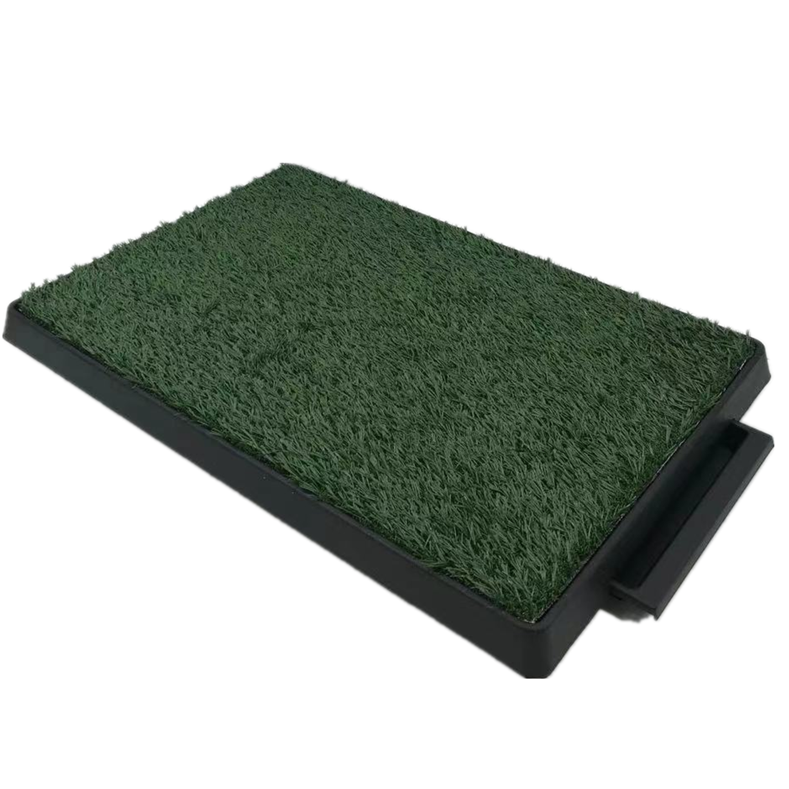 Puppy toilet training grass 2024 mat