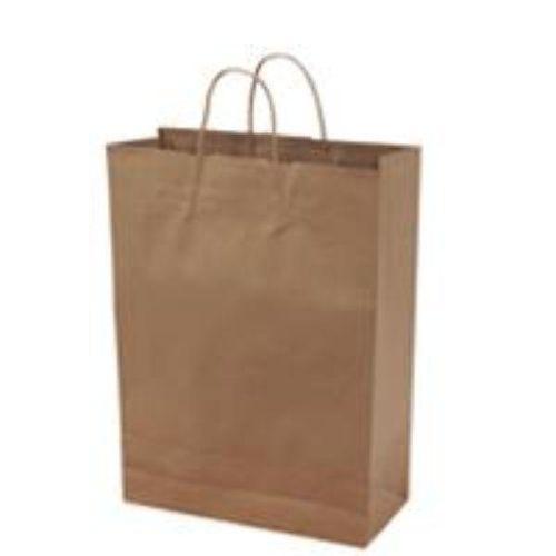 Paper 250 X Carry Bags Medium With Twisted String Handle