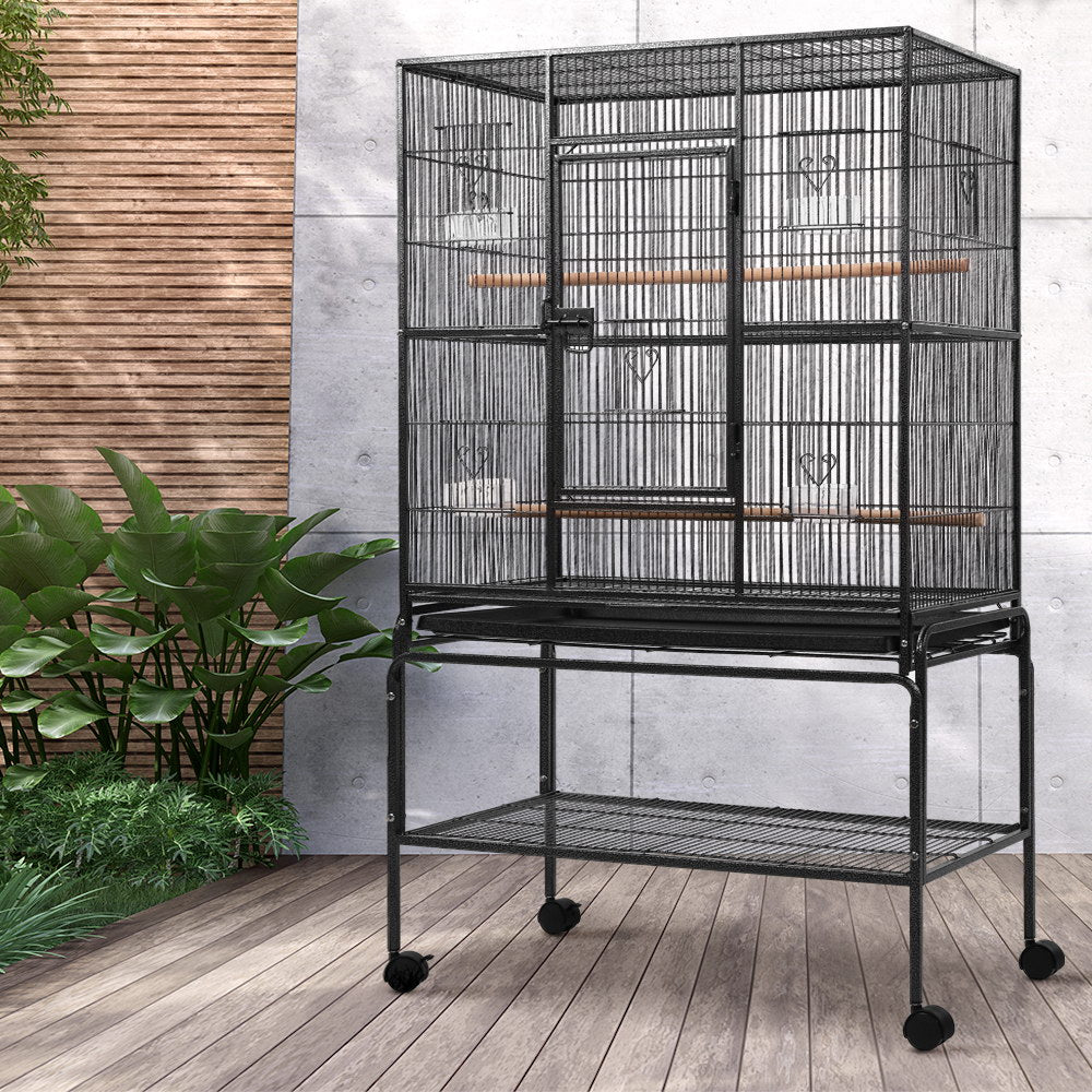 Budgie aviary 2024 for sale