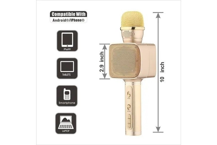 TEQ 820 Wireless Karaoke Microphone Portable Bluetooth Mic Speaker