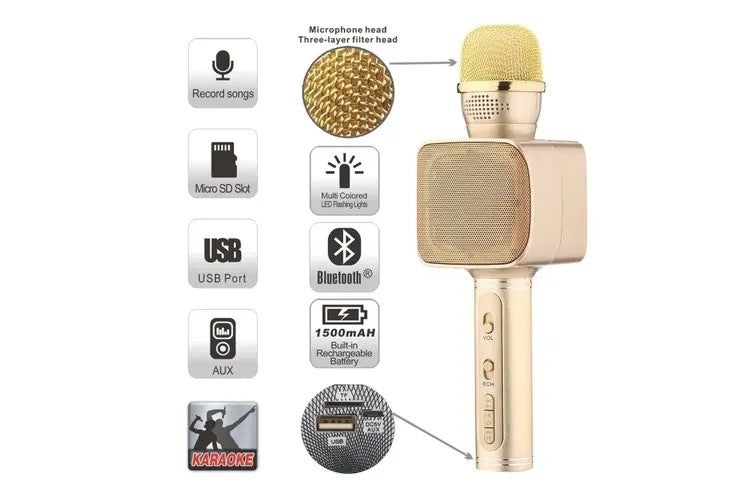 TEQ 820 Wireless Karaoke Microphone Portable Bluetooth Mic Speaker